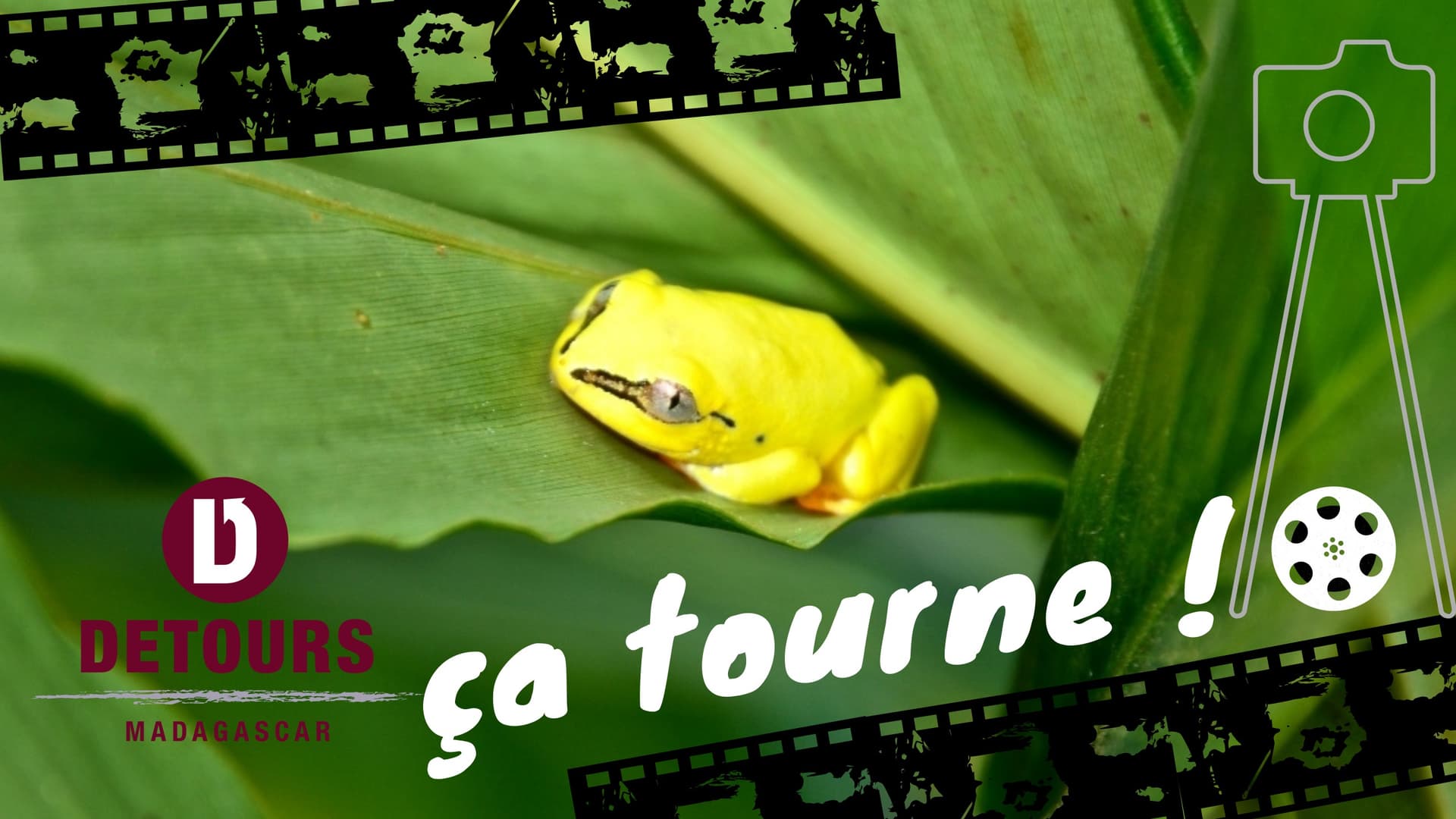 Détours manages film shoots in Madagascar and beyond