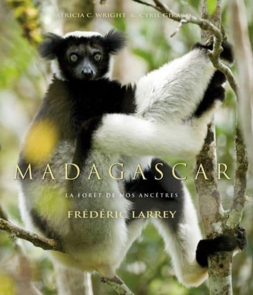 Madagascar, the Forest of Our Ancestors