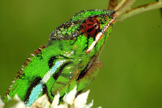 Northern Madagascar