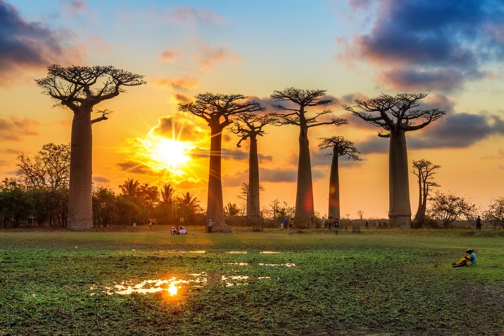 5 Great Reasons to Travel to Madagascar